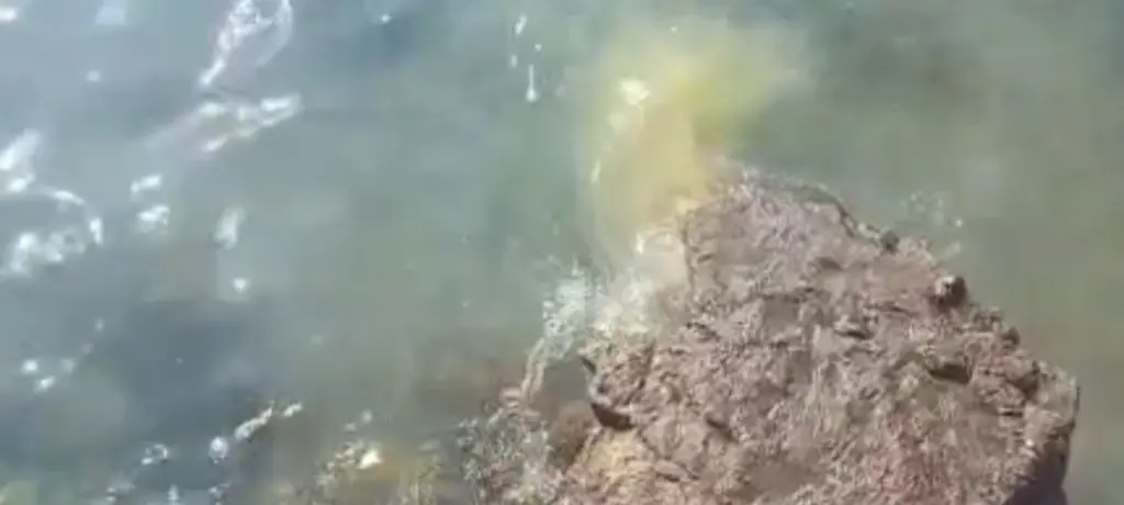 Denuncian nuevos vertidos de aguas residuales al mar en la costa de Arrecife.