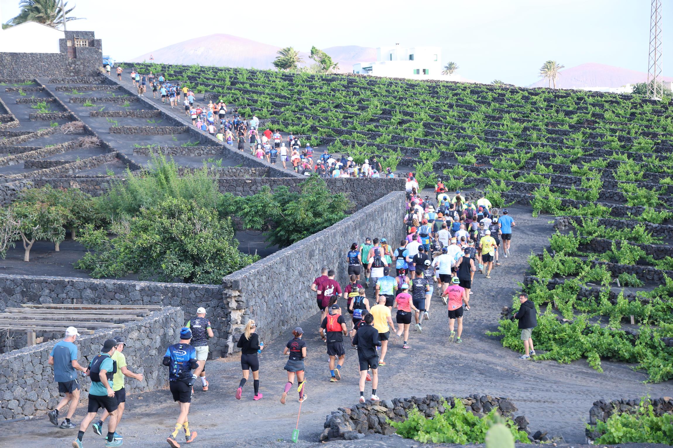 Abiertas las inscripciones para la Wine Run Lanzarote 2026, que se celebrará los días 13 y 14 de junio en La Geria.